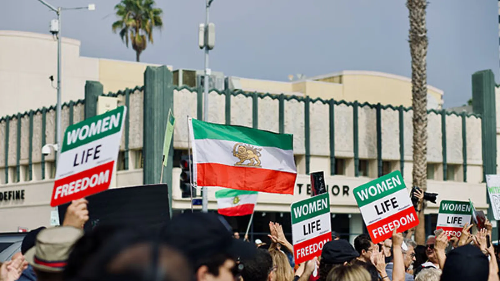 Photo of protesters holding Iranian flags