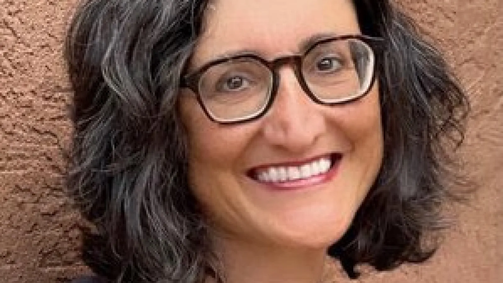 Farnaz Fatemi - Author Talk at Ohio State