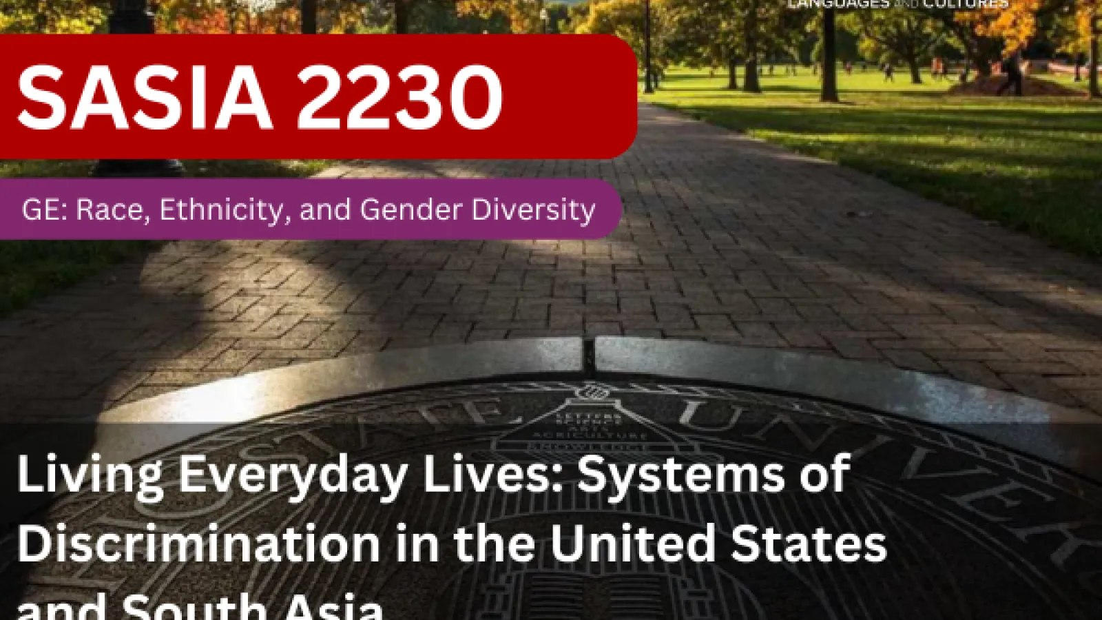 SASIA 2230 - Living Everyday Lives: Systems of Discrimination in the United States and South Asia