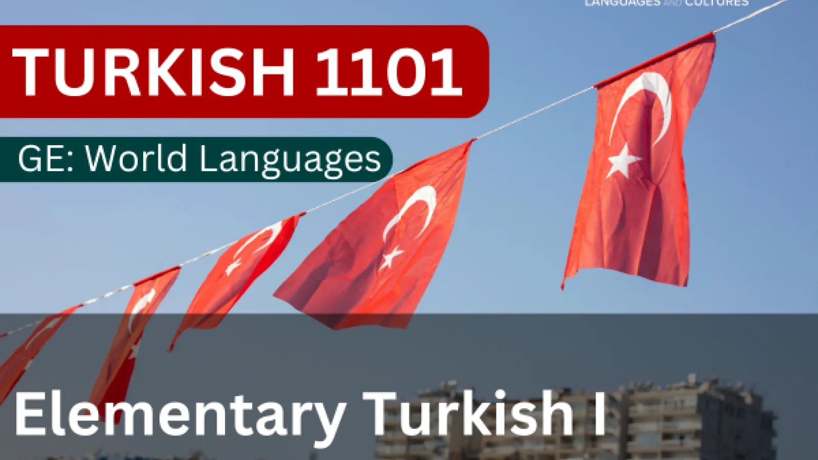 Turkish 1101 - Elementary Turkish I