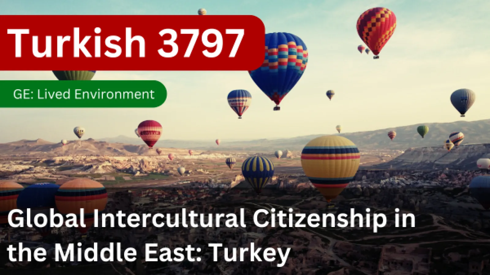 Turkish 3797 - Global Intercultural Citizenship in the Middle East: Turkey