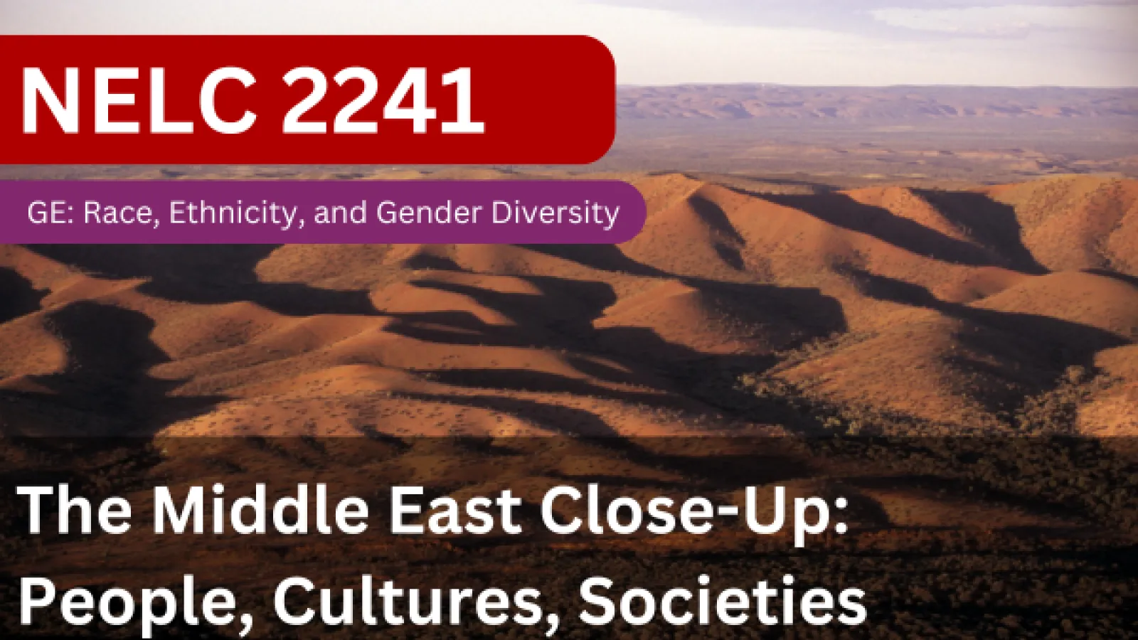 NELC 2241 - The Middle East Close-Up: People, Cultures, Societies