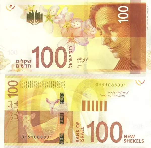 Israeli Money 