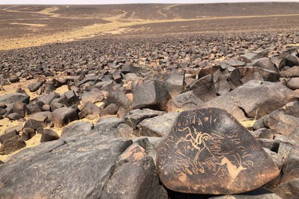 Safaitic inscription and hunting scene, NE Jordan (Photograph, A. Al-Jallad)