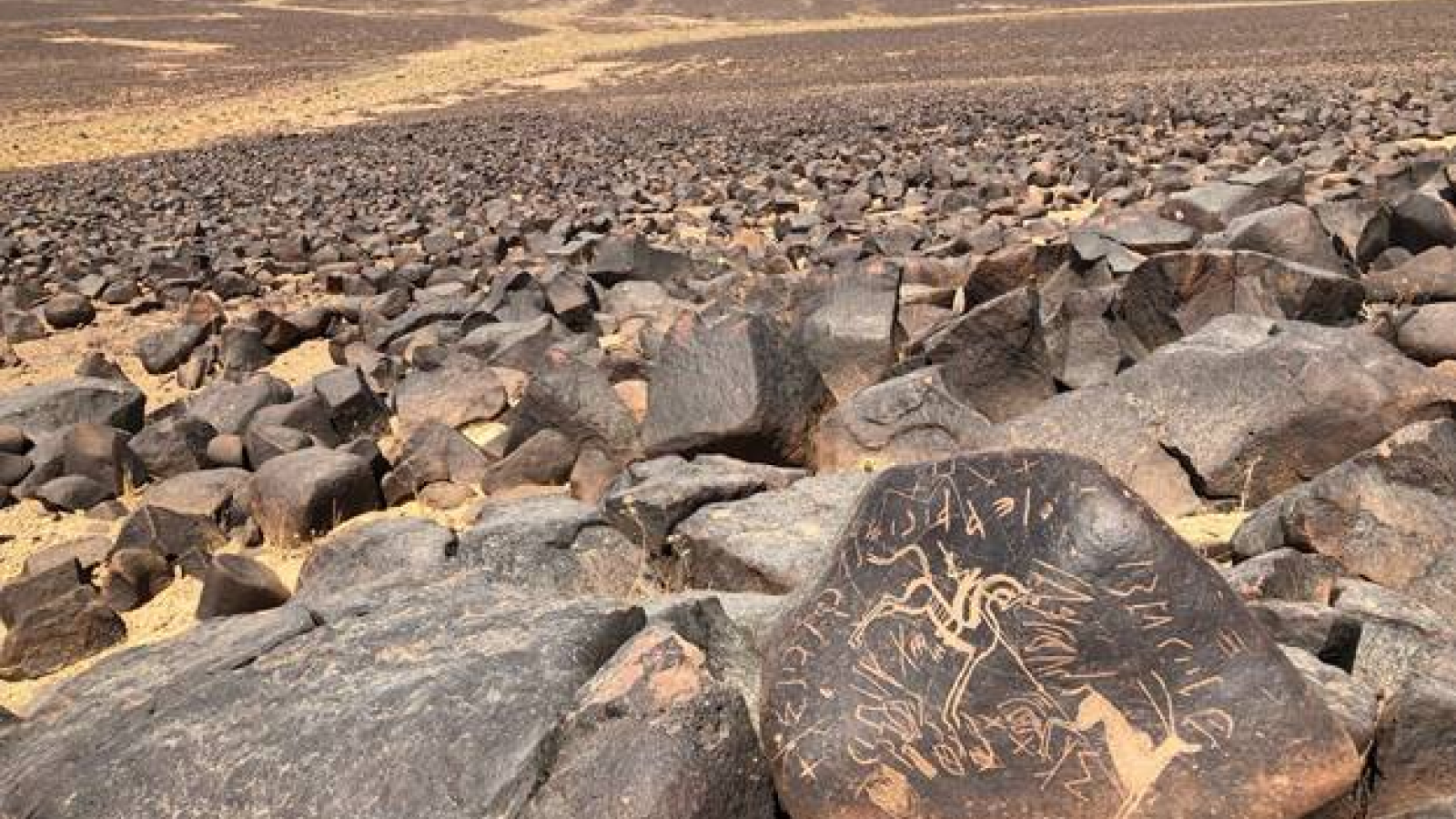 Safaitic inscription and hunting scene, NE Jordan (Photograph, A. Al-Jallad)